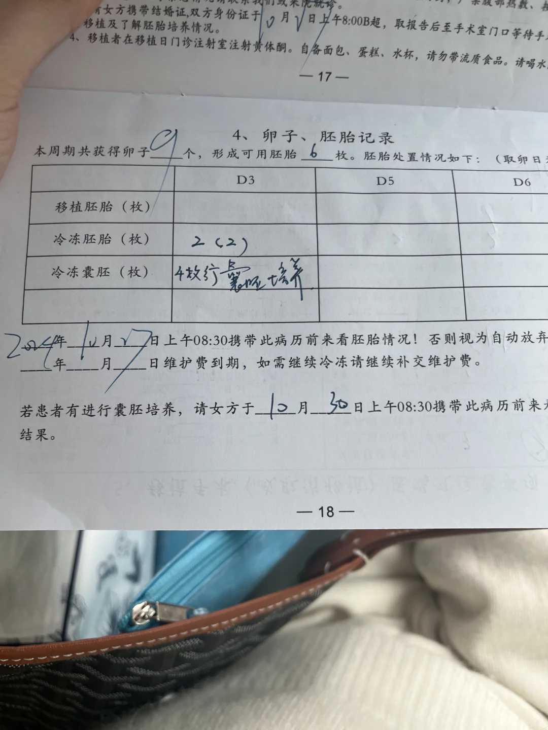 代孕咨询指南：3步提升生殖助孕成功率