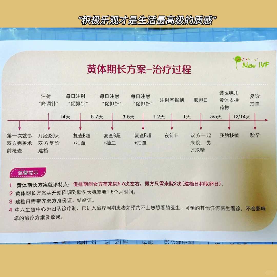 三代供卵试管：借卵生子的科技赋能与新生希望