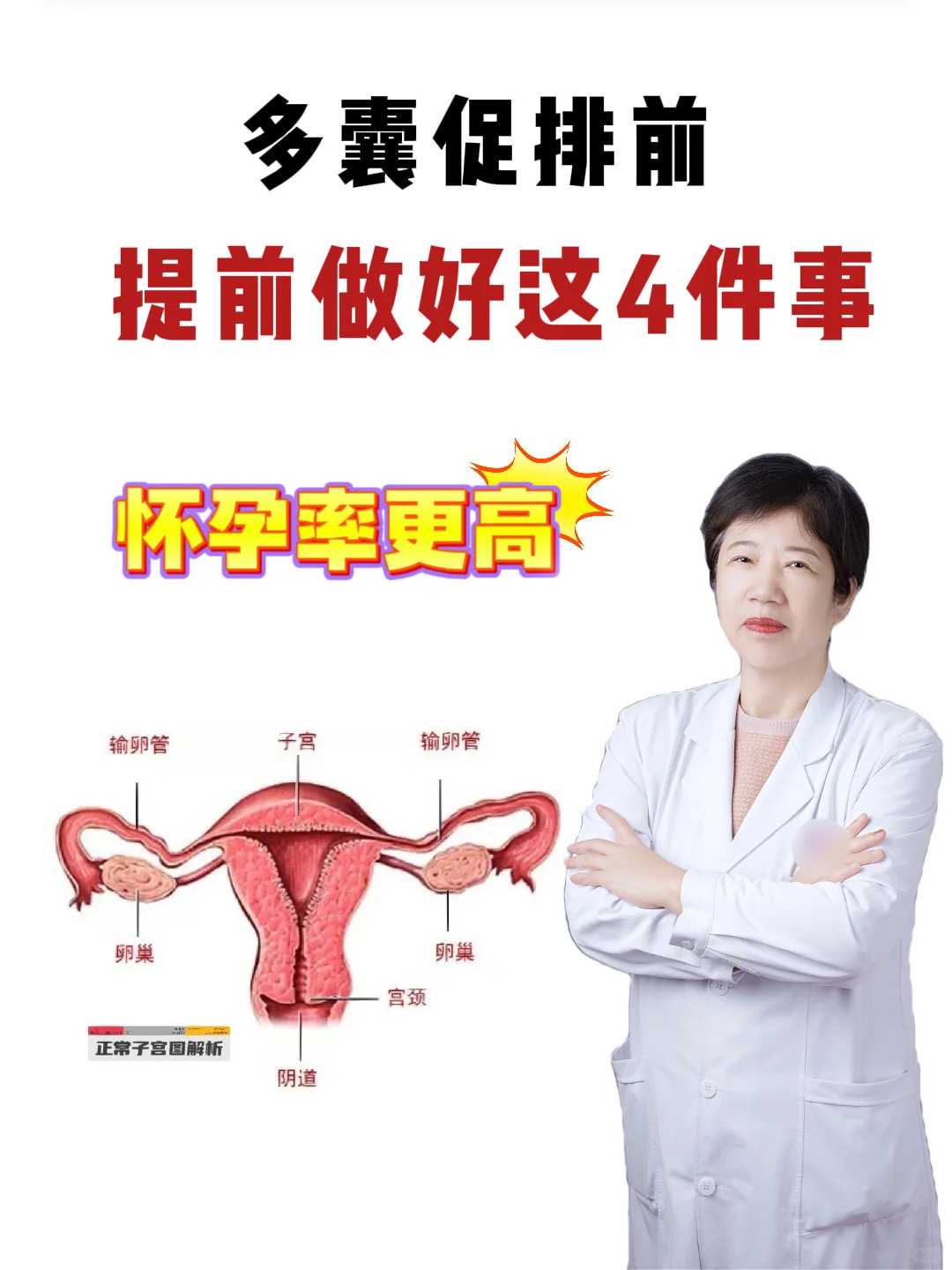 借卵代怀2026：揭秘85%成功率的5大关键步骤