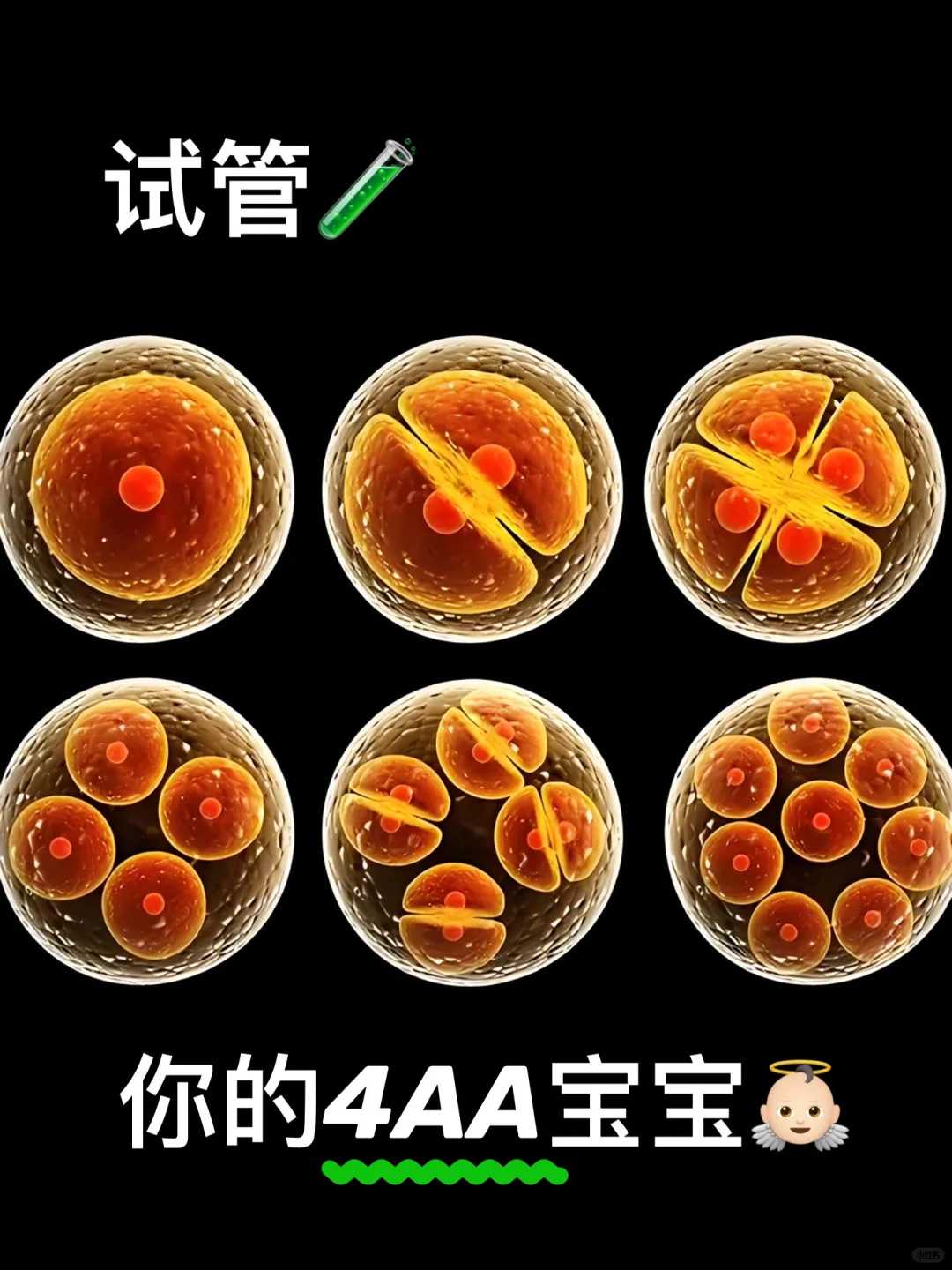 武汉代怀成功率：90%家庭忽视的3大核心要素