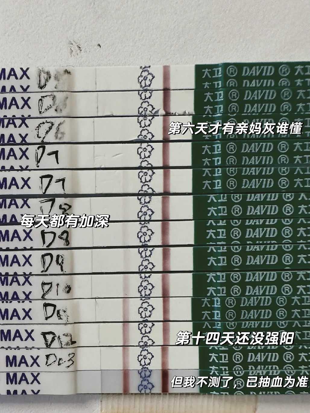 2026杭州捐卵助孕突破：3大数据揭示成功率跃升50%