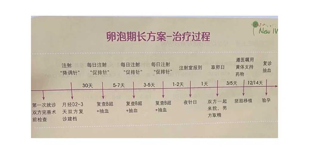 温州供卵代生助孕：解锁生育梦想的专业指南