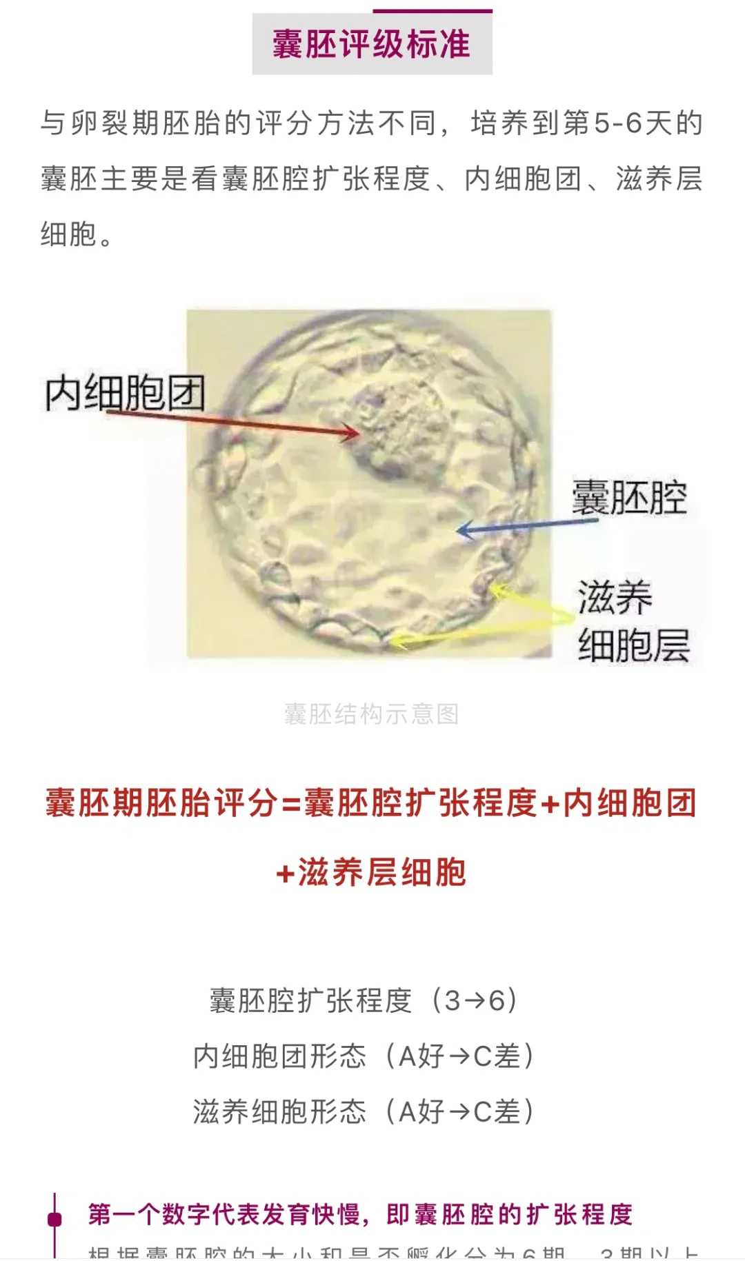 2026年西安供卵代孕新突破：科技驱动70%成功率革命