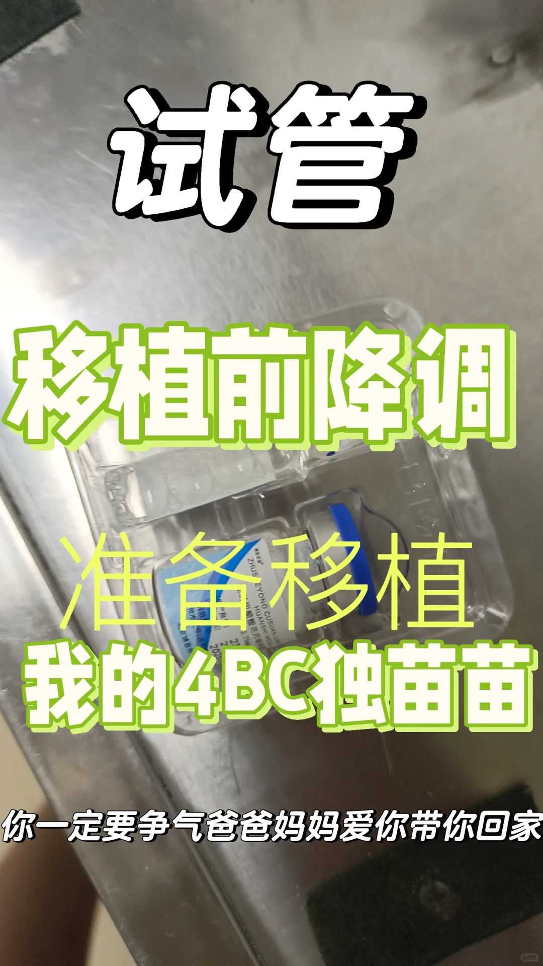 2026年供卵试管怀孕率高达68%：揭秘三大核心优势与风险