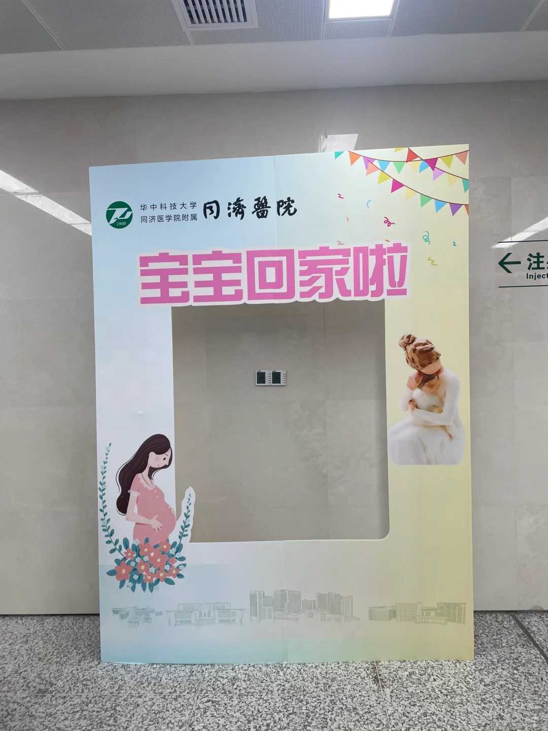 **2026年深圳借卵助孕革命：70%成功率背后的科学路径**