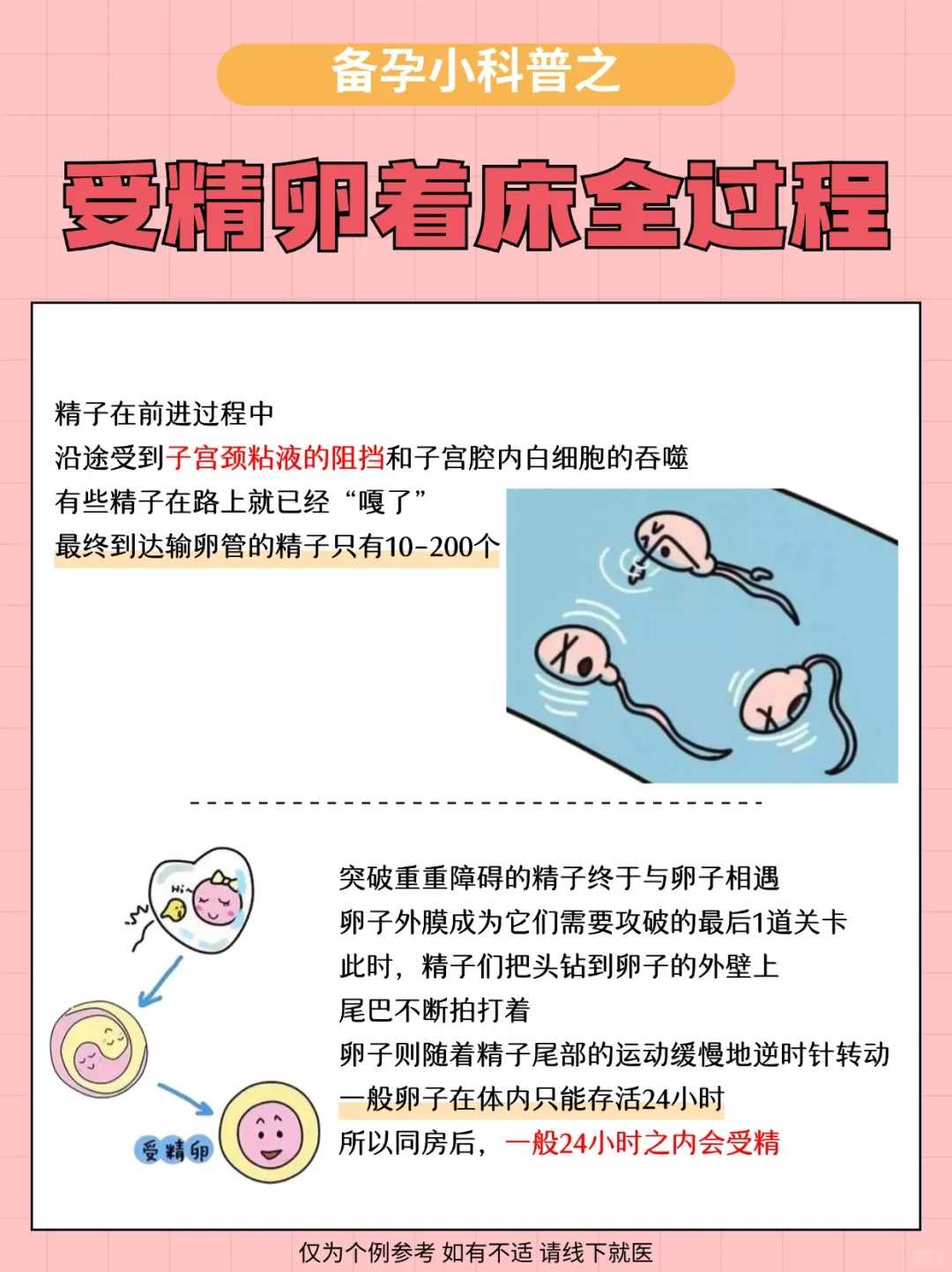 深圳供卵助孕全攻略：科技赋能生育新未来